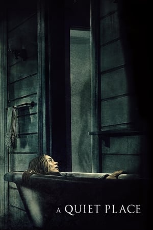 A Quiet Place 2018 Hindi Dual Audio 480p BluRay 300MB A Quiet Place 2018 Hindi Dual Audio 480p BluRay 300MB