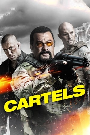 Cartels 2017 Hindi Dual Audio 480p BluRay 300MB Cartels 2017 Hindi Dual Audio 480p BluRay 300MB