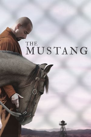 The Mustang (2019) Hindi Dual Audio 480p BluRay 300MB The Mustang (2019) Hindi Dual Audio 480p BluRay 300MB