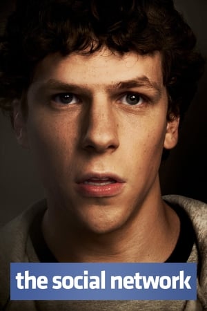 The Social Network 2010 Hindi Dual Audio 480p BluRay 400MB The Social Network 2010 Hindi Dual Audio 480p BluRay 400MB